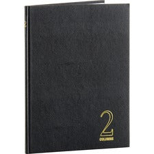 Wilson Jones 74100 2-Column Account Book