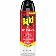 Raid Ant & Roach Killer Spray