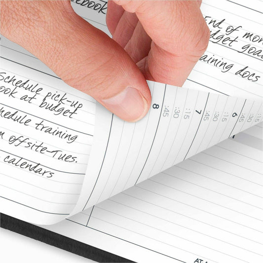 At-A-Glance Appointment Book Planner, Large