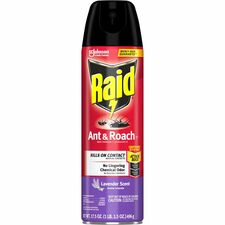 Raid Ant & Roach Killer Spray